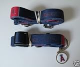Los Angeles Angels Dog Pet Set Leash Collar ID Tag XS