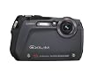 Casio Exilim EX-G1 12.1 MP Slim-line Endurance Digital Camera with 3x Optical Zoom (Black)