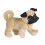 Lil Kinz - Pug