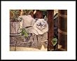 My Secret Garden by Drew Strouble