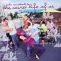 Secret Life of Us