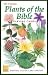 The Famous Plants of the Bible