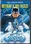 Batman & Mr. Freeze - SubZero
