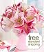 Thinking of You with FREE Standard Shipping