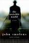 The Invisible World: A Novel