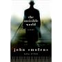 The Invisible World: A Novel