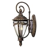 Savoy House Acropolis Large Tortoise Shell Outdoor Wall Mount