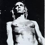 We Will Fall: The Iggy Pop Tribute