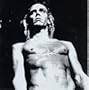 We Will Fall: Iggy Pop Tribute