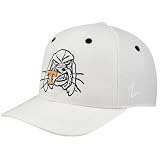 Zephyr Tennessee Volunteers White Flurry Fitted Hat