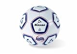 Mikasa Anerica Futsal Soccer Ball (Red/White/Blue, Adult Size)