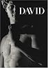 Michelangelo's David