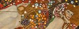 Water Serpents II, c.1907 (detail) Art Poster Print by Gustav Klimt, 32x12