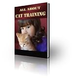 412PfBp358L. SL160  All About Cat Training   Your Complete Guide To Training Your Cat