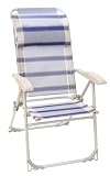 Royal Sienna U-Tube Folding Chair (Green/Grey)