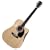Spectrum AIL123 Acoustic Guitar Pack Includes Full Accessories Kit