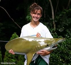 Giant Taxidermy Hammerhead Shark Fiberglass Wall Mount