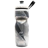 Polar Insulated Water Bottle (20-Ounce, Graphic Silver)