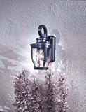 Minka Lavery Lights 8761-166 Medium Wall Mount Light - Corona Bronze Outdoor Lighting