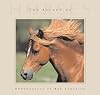 The Allure Of Horses