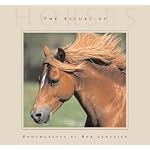 The Allure Of Horses book cover