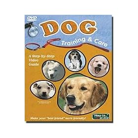 Easy Dog Training & Care