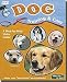 Easy Dog Training & Care