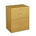 Studio RTA 2-Drawer Lateral File Cabinet - Natural