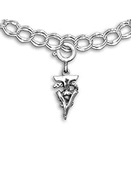 Sterling Silver Large Veterinary Technician Caduceus Charm for charm bracelet by The Magic Zoo