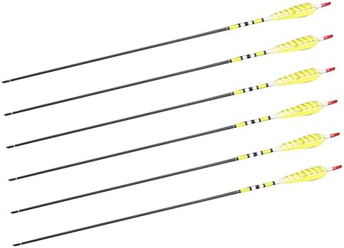 Lehang8899 Craftsmans Handmade Carbon Shaft Archery Arrow Feathers F Bow Yellow Color 80cm pack of 6