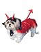 Zelda Devil Pet Costume in 3 Sizes