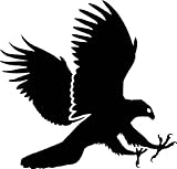IMAGE OF Nature Silhouette Wall Decals - Hawk Attacking Bird Silhouette - 24 inch Removable Graphic