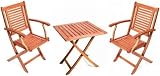 Gartenmöbel-Set aus Holz, 2 Klappsessel 1 Klapptisch
