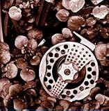 Lamson Velocity Hard Alox #3 Large Arbor Fly Reel (7 wt, 8wt)