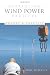 Developing Wind Power Projects: Theory and Practice
