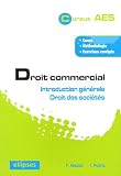 Droit commercial : Introduction générale, Droit des sociétés