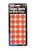 B/C TS1 TARGET SPOTS 216-1