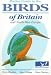 Pocket Guide to the Birds of Britain and North-West Europe