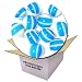 Sporting Goods : Seconds Premium Paintballs - 2000 Rounds