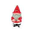 University of Louisville Garden Gnome