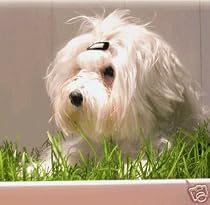 PETaPOTTY MINI INDOOR DOG LAWN TOILET SYSTEM Unit Only