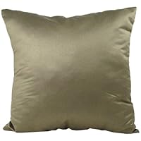 American Mills Flash 16 by 16 Pillow, Set of 2