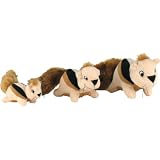 3 Additional Squirrels