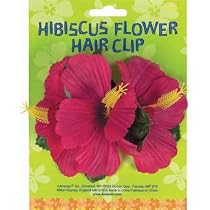 Hibiscus Flower Hair Clip