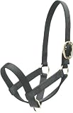 Abetta Nylon Cattle Halter - Bull - Hunter