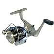 Quantum Plazma 20 8BB Spn Reel