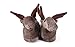 Happy Feet - Moose - Animal Slippers