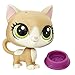 Littlest Pet Shop Single Pet Kochka Pawsky