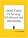 Astral Plane: Its Scenery, Inhabitants and Phenomena