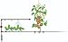 GARDENA 1382/8382-U T-Joint 1/2-Inch, Micro Drip System